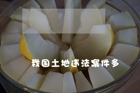 我国土地违法案件多 我国土地违法案件多