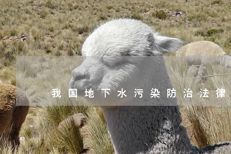 我国地下水污染防治法律问题研究 我国地下水污染防治法律问题研究