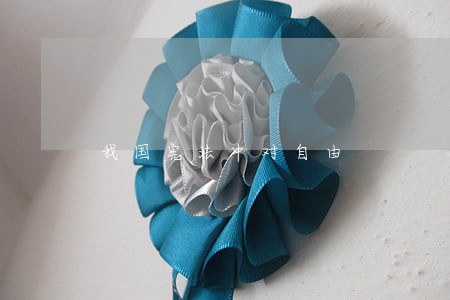 我国宪法中对自由 我国宪法中对自由