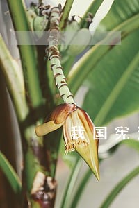 我国宪法已经历了多少次修 我国宪法已经历了多少次修