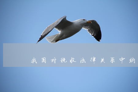 我国对税收法律关系中纳税 我国对税收法律关系中纳税