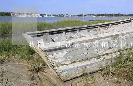 我国工伤认定标准的法律问题研究