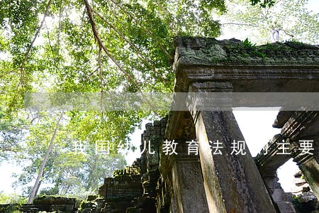 我国幼儿教育法规的主要形式有哪些 我国幼儿教育法规的主要形式有哪些