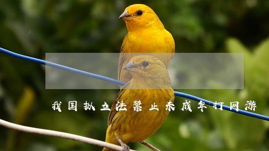 我国拟立法禁止未成年打网游