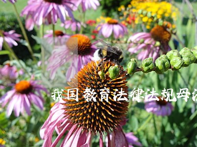 我国教育法律法规母法