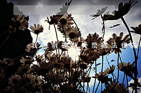 我国明确两类票据法律效力相同 我国明确两类票据法律效力相同