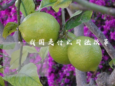 我国是什么司法改革 我国是什么司法改革