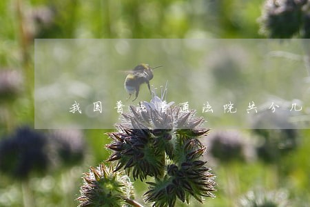 我国普法普通法院共分几级 我国普法普通法院共分几级