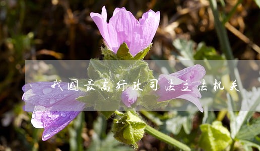 我国最高行政司法立法机关 我国最高行政司法立法机关