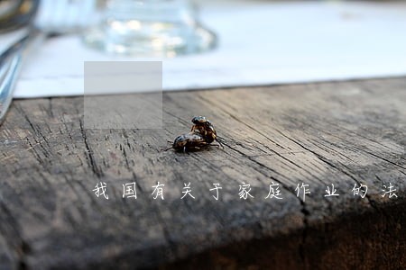 我国有关于家庭作业的法律规定吗 我国有关于家庭作业的法律规定吗