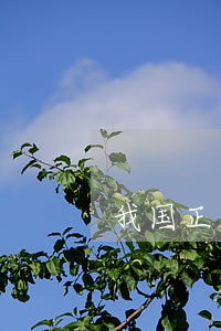 我国正式实施劳动合同法 我国正式实施劳动合同法