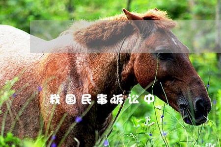 我国民事诉讼中 我国民事诉讼中