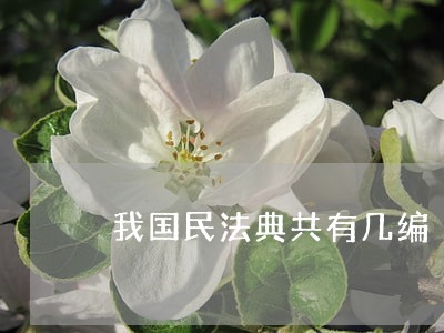 我国民法典共有几编 我国民法典共有几编