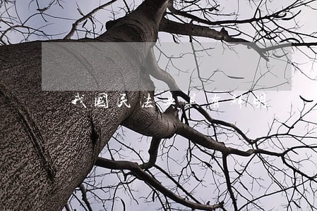 我国民法典具有鲜明