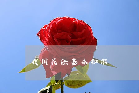 我国民法基本知识