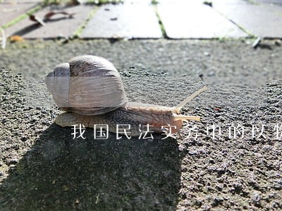 我国民法实务中的以物抵债研究 我国民法实务中的以物抵债研究