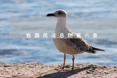 我国民法总则第六条 我国民法总则第六条