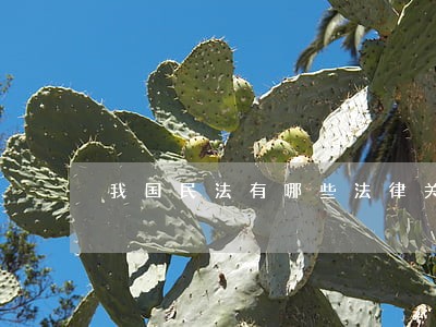 我国民法有哪些法律关系 我国民法有哪些法律关系