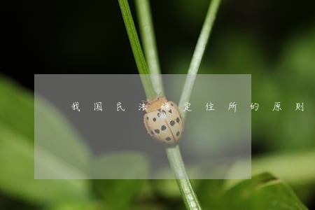 我国民法确定住所的原则 我国民法确定住所的原则