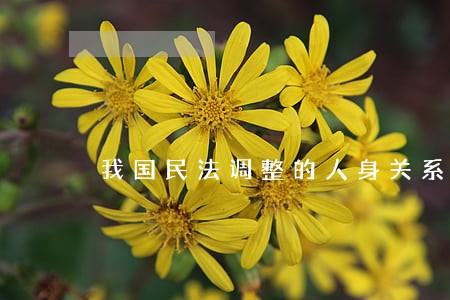 我国民法调整的人身关系包括 我国民法调整的人身关系包括