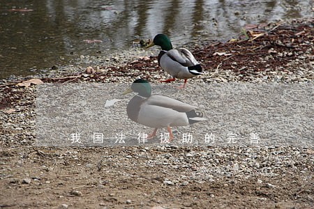 我国法律援助的完善 我国法律援助的完善