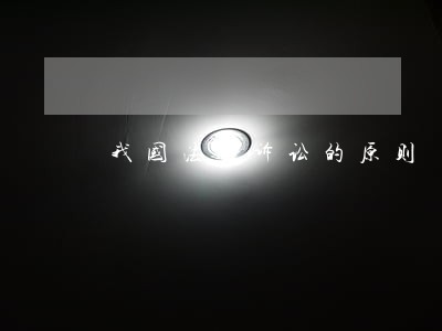 我国法律诉讼的原则