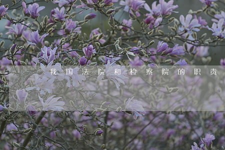 我国法院和检察院的职责 我国法院和检察院的职责