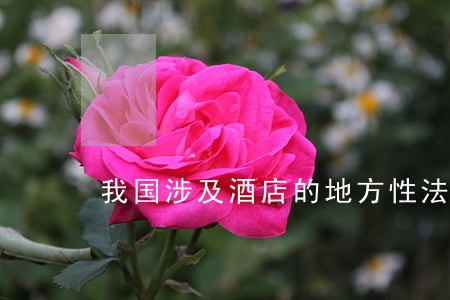 我国涉及酒店的地方性法规 我国涉及酒店的地方性法规