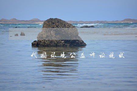 我国环境公益诉讼现状 我国环境公益诉讼现状