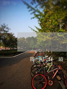 我国环境污染责任的法律途径探究 我国环境污染责任的法律途径探究