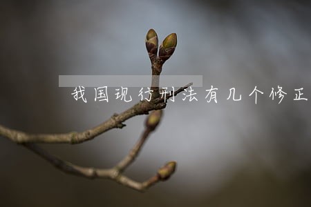 我国现行刑法有几个修正案 我国现行刑法有几个修正案