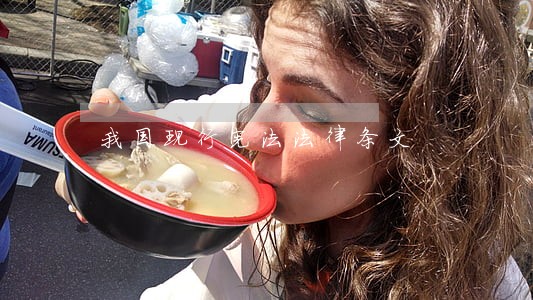 我国现行宪法法律条文 我国现行宪法法律条文