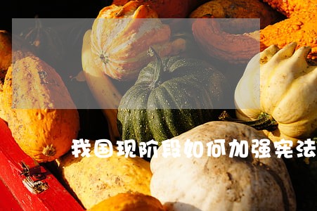 我国现阶段如何加强宪法实施 我国现阶段如何加强宪法实施
