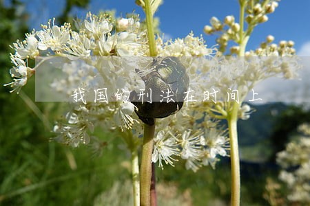 我国的刑法在时间上 我国的刑法在时间上
