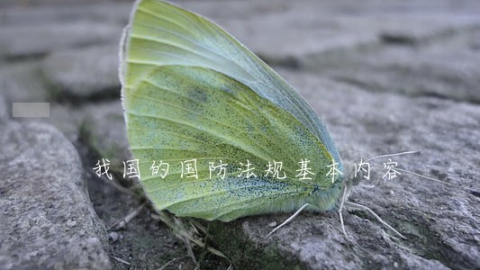 我国的国防法规基本内容 我国的国防法规基本内容