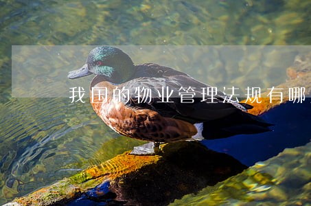 我国的物业管理法规有哪些 我国的物业管理法规有哪些