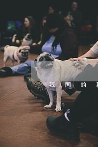 我国的税收违法举报制度如何完善 我国的税收违法举报制度如何完善
