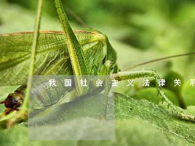 我国社会主义法律关系的构成要素