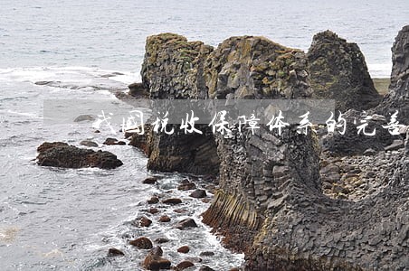 我国税收保障体系的完善措施 我国税收保障体系的完善措施