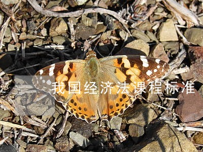 我国经济法课程标准