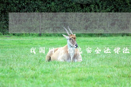 我国网络信息安全法律法规