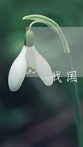 我国网络犯罪的刑法规制 我国网络犯罪的刑法规制