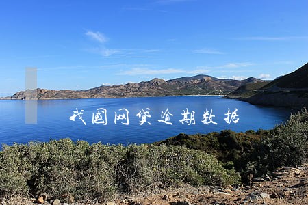 我国网贷逾期数据 我国网贷逾期数据