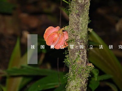 我国背信罪的立法研究 我国背信罪的立法研究