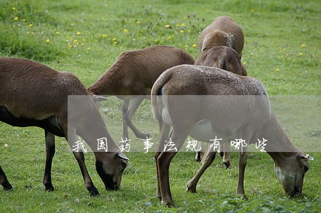 我国药事法规有哪些 我国药事法规有哪些