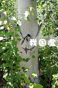 我国虚假违法广告的原因深析
