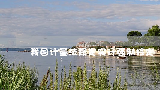 我国计量法规定实行强制检定