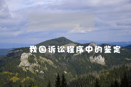 我国诉讼程序中的鉴定 我国诉讼程序中的鉴定