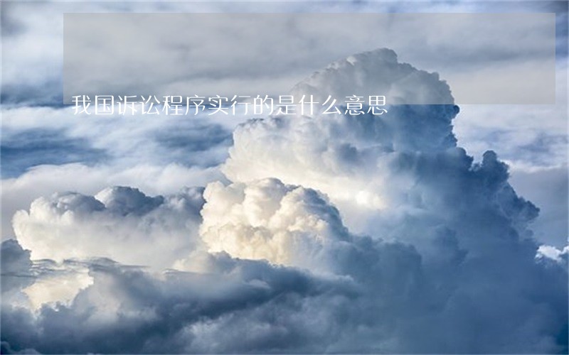 我国诉讼程序实行的是什么意思 我国诉讼程序实行的是什么意思