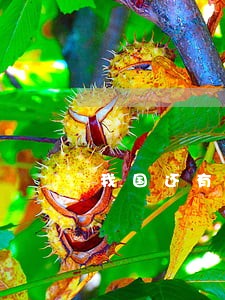 我国还有哪些重要的科普法规